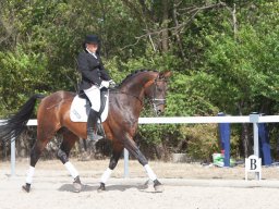IMG_8046_web